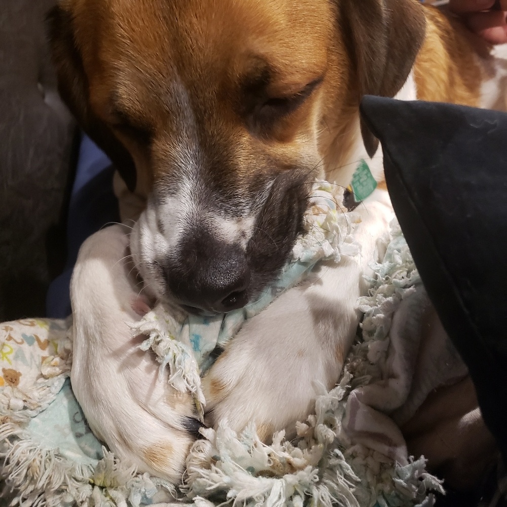 Meet your Posher, Sheree